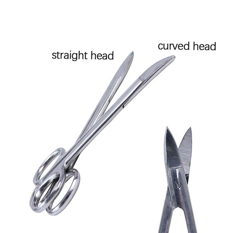 1PC Dental Metal Crown Scissors Stainless Steel Surgical Instrument Scissor Tool Filaments Cutting Scissors CurvedStraight Head (1)